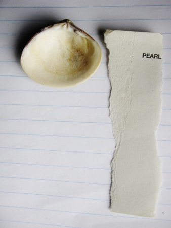 shell and pearl (338x450)